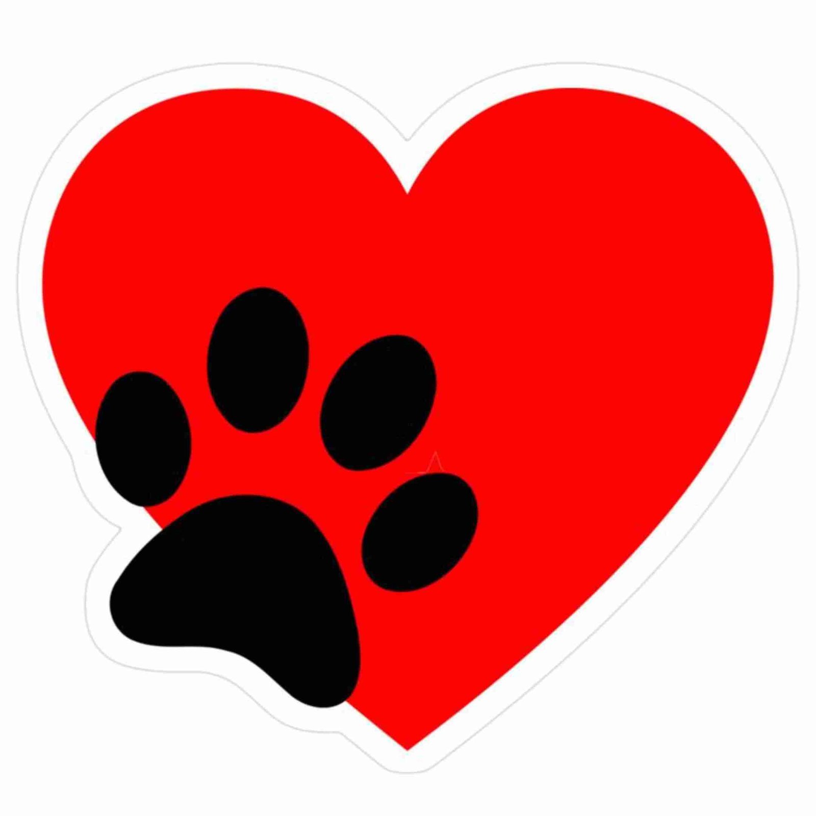 FurryMatch.App – Encuentra el Compañero Perfecto para tu Mascota