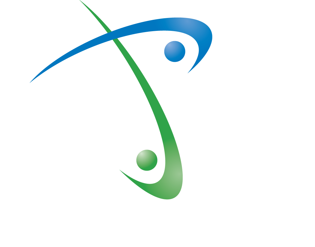 Professionalize It – Diseño Instruccional para Capacitación Efectiva