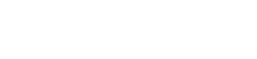 Nomi-invert-logo.png