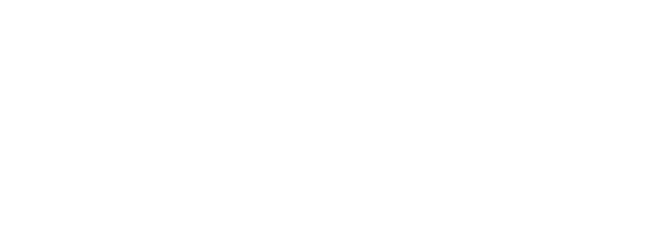 albertzoomd-logo_01-02-2.png