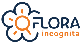 flora-incognita_logo_horizontal_RGB-e1669665654345.png