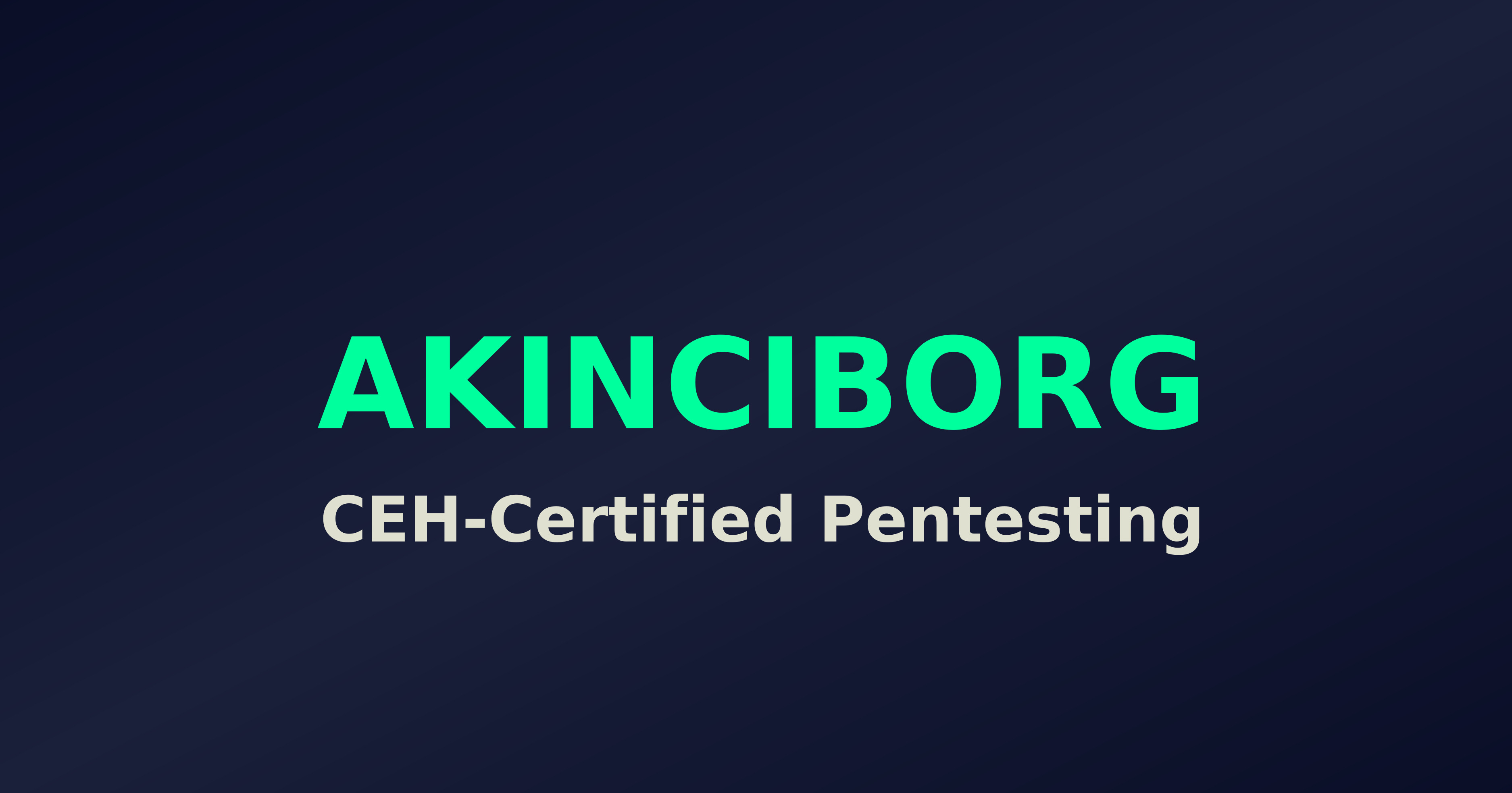 Web & API Pentest | Ethical Hacker – Akinciborg