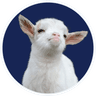 image-193.png