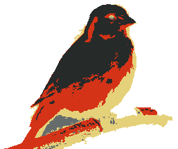 kanaries-logo.47b40e21.png