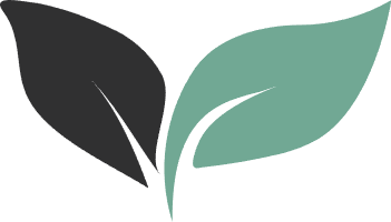 logo-336.png