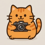 logo-499.png