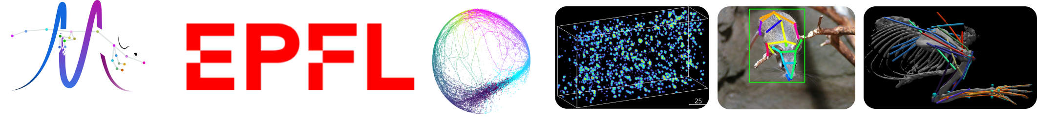 CEBRA: Modelado de Dinámicas Neurales y Comportamiento