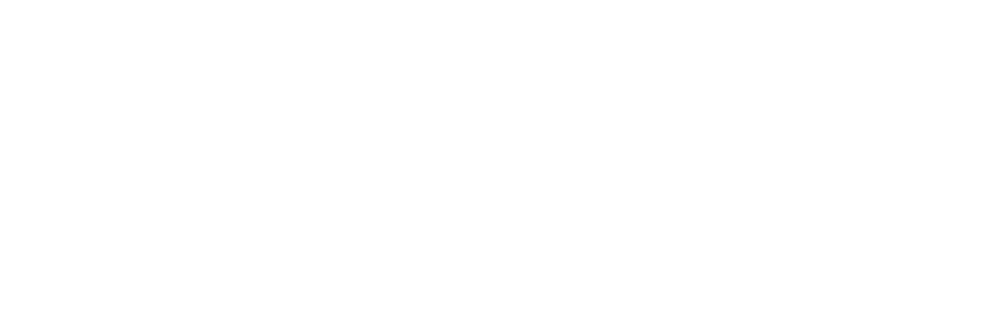 logo_transparent.png