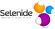 selenide-logo-1.png