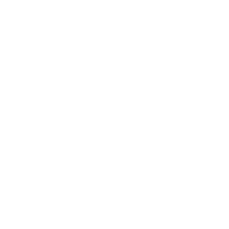 white-logo.png